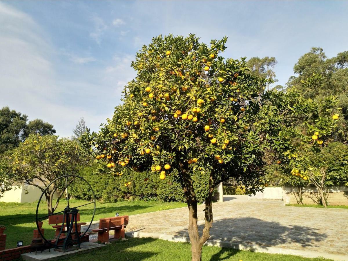 Metro Vilar Suites&Villas Vilar do Pinheiro Esterno foto